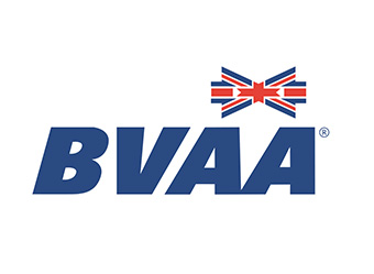Member of BVAA